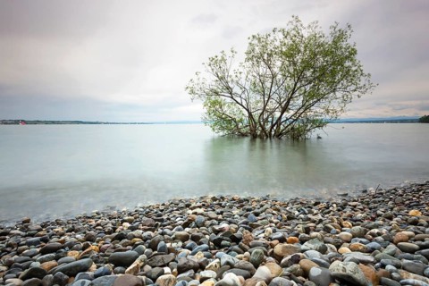 Shore during high waters at Hoernle