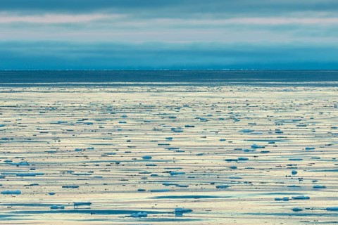 Drifting ice floes on the edge of the pack ice
