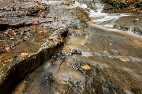Watercourse of Struempfelbach stream