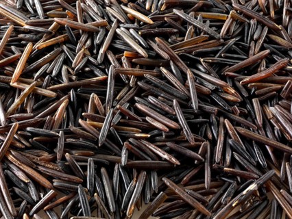 Wild rice grains