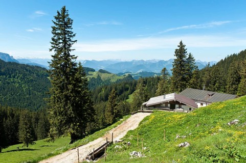 Hut on the Schreck-Alm alpine pasture