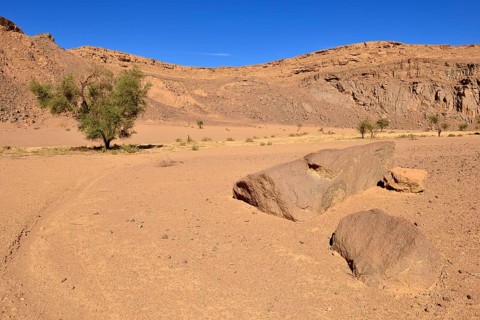 Volcanic landscape of the upper Ouksem crater