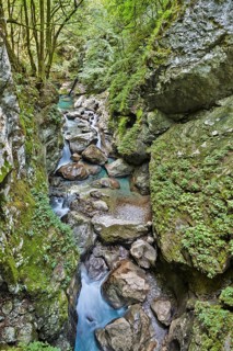 Tolmin Gorge