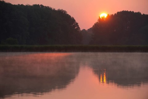 Sunrise over a pond landscape