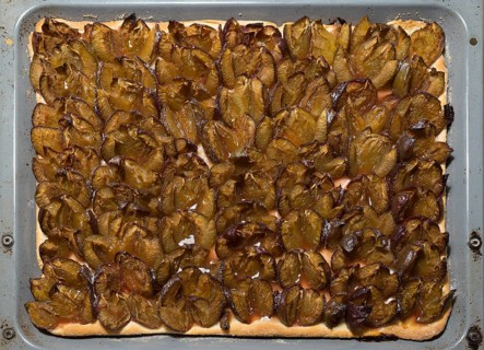 Fresh plum cake on a baking tray