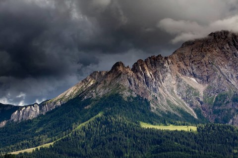 Mountain meadow with Latemar Mountain