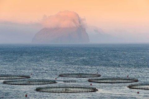 Fish farm