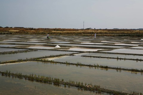 Salt farm