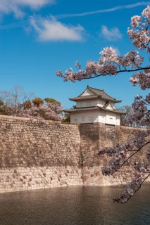 Osaka Castle with moat to the cherry blossom