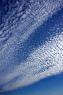 Fluffy clouds or cirrocumulus clouds