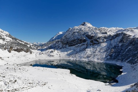 Winter landscape