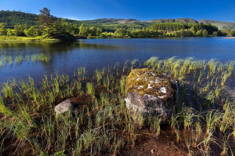 Loch Trool in the Galloway Forest Park