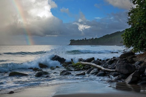 Coast at Plage de Grande Anse