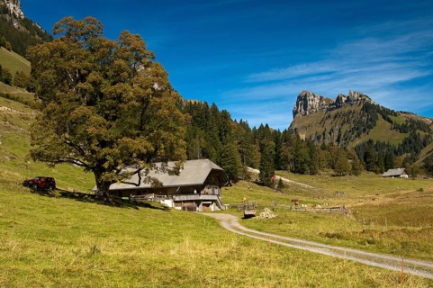 Dirt road leading to a mountain farm