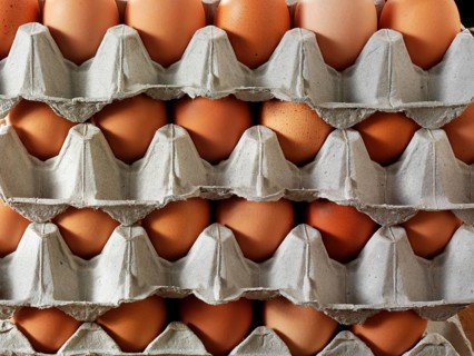 Palettes with fresh brown eggs from free-range