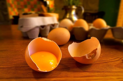 Free-range eggs