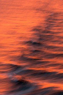 Bow waves in the evening light