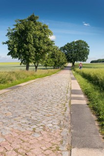 Country road with cobblestones