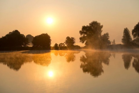 Sunrise over a pond landscape