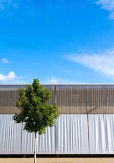 Solitary tree in front of an industrial building