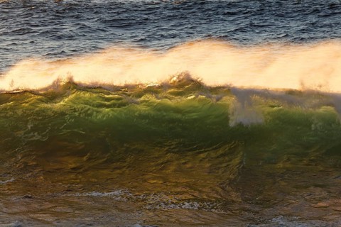 Ocean waves in the evening light