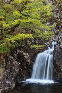 Waterfall in a forest