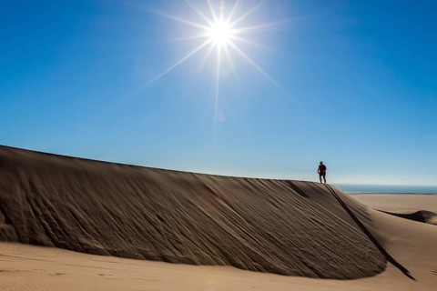 Man walking in the dune belt of Long Beach