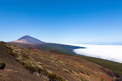 Landscape with vegetation typical of the Parque Nacional de las Canadas del Teide