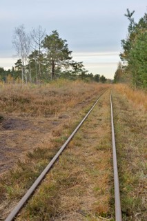 Tracks of a narrow-gauge peat railway