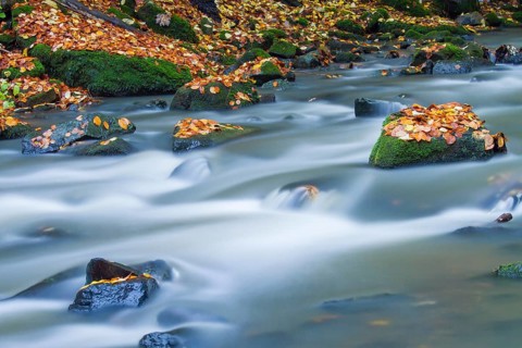 Holzbach creek in the Holzbachschlucht