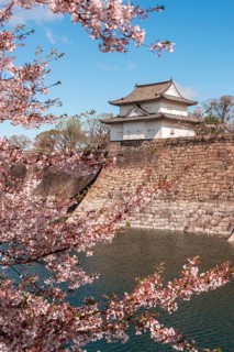 Osaka Castle with moat to the cherry blossom