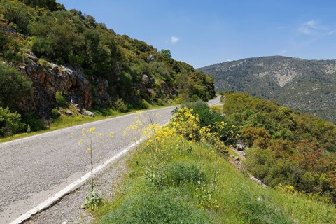 Road to Termessos
