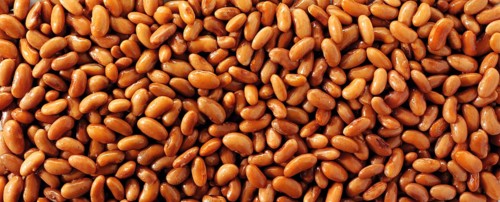 Borlotti beans