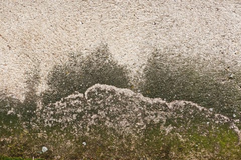 Texture