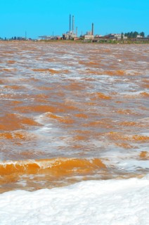 Lake contaminated by chemical waste