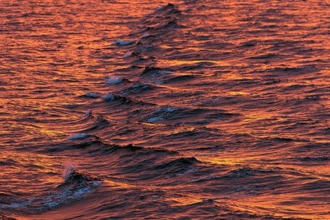 Bow waves in the evening light