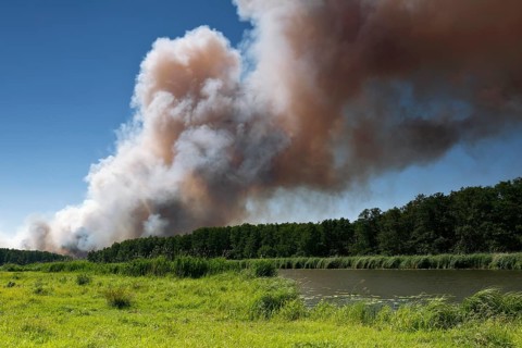 Fire on a grain field near Tutow