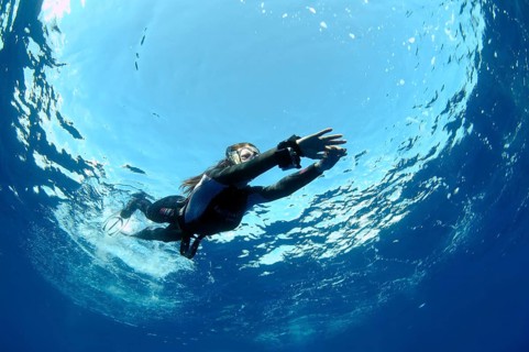 Freediver