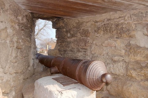 Cannon