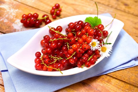 Bowl with red currants and daisies