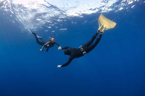 Freedivers