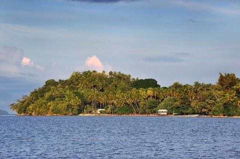 Kri island with palm trees in the Dampier Strait