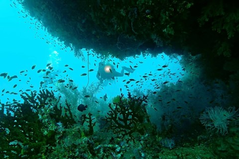 Scuba diver behind a cave