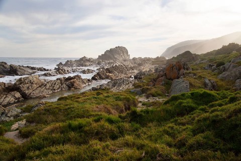 Rocky coast