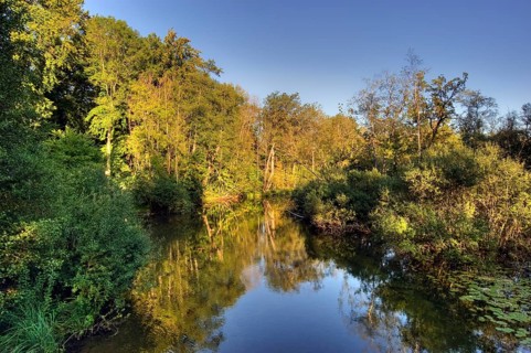Wuerm river in autumn