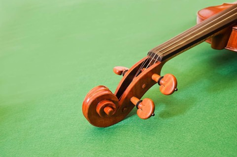 Violin