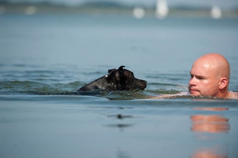 A man and a dog swimming in a lake