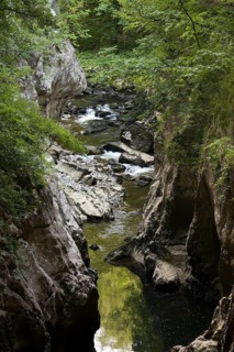 Canyon