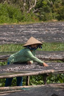 Vietnamese woman sorting freshly caught fish