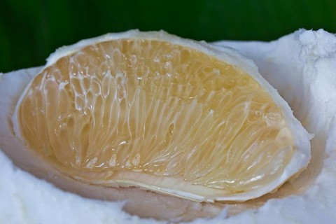 Segment of a pomelo fruit